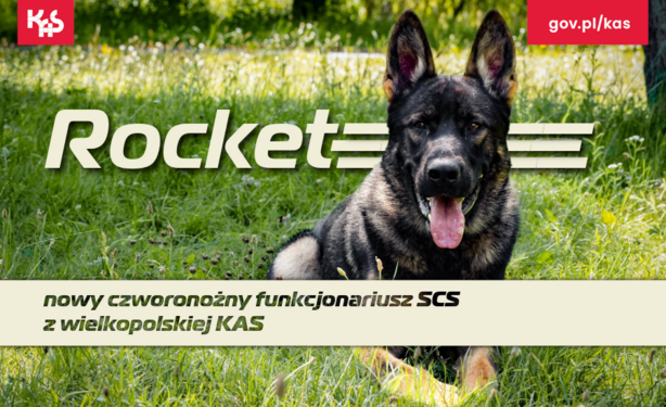 Zdjecie psa i napis "nowy czworonożny funkcjinariusz SCS z wielkopolskiej KAS"